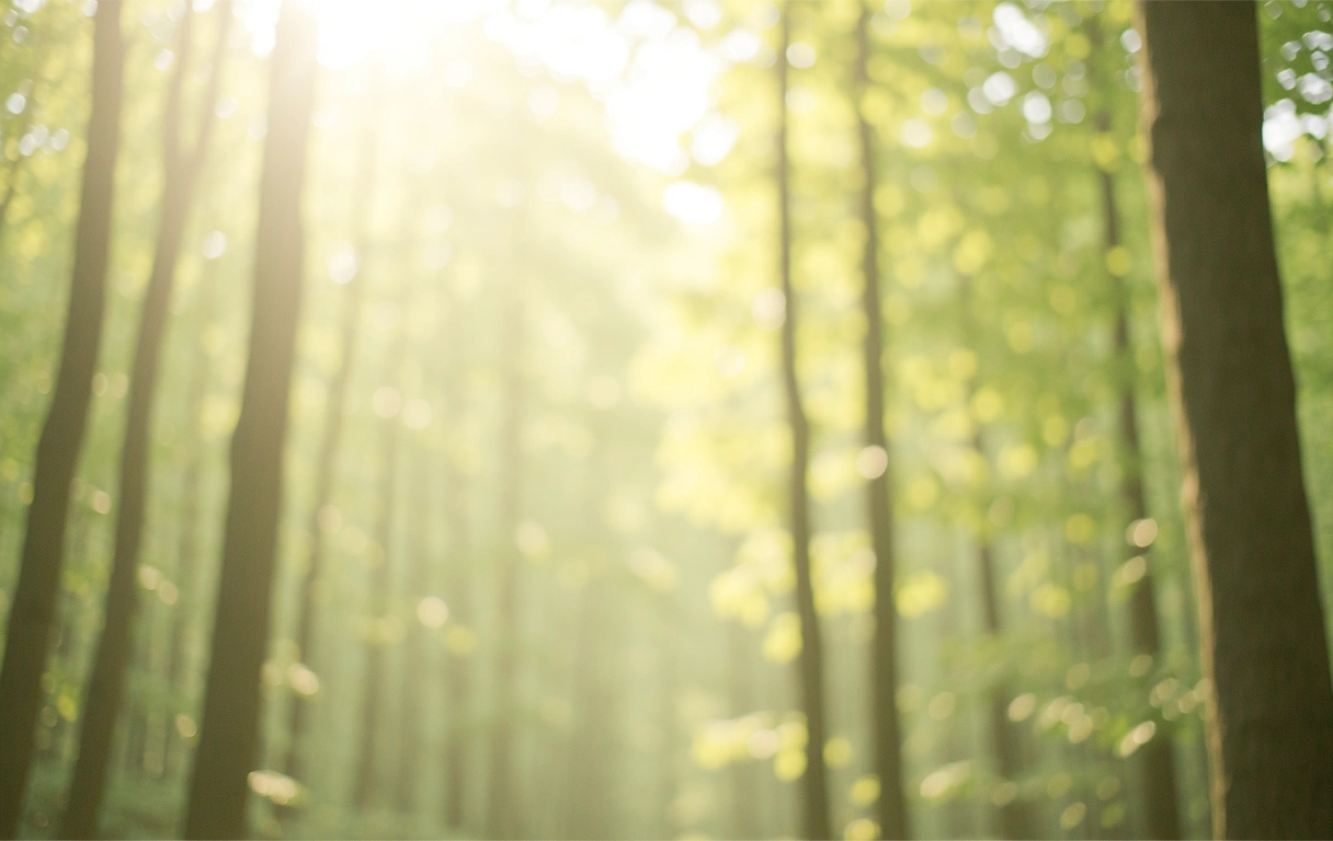 Inner peace visualization